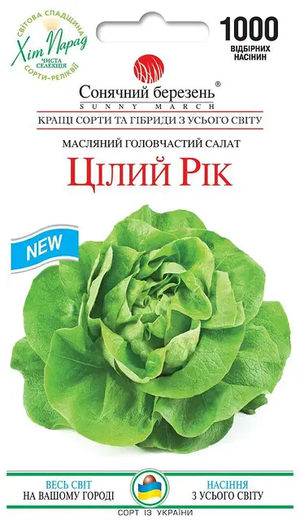 Салат Цілий рік