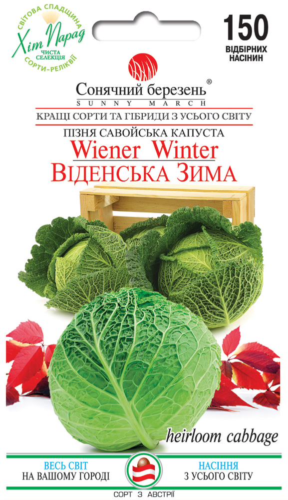 Капуста Савойська Віденська зима Капуста Савойська Віденська зима