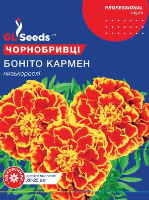Чорнобривці Бонiто Кармен (3г) Чорнобривці Бонiто Кармен (3г)
